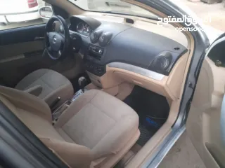  13 شفرليت افيو 2010