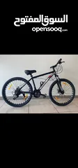  2 Buy from Professionals - New Bicycles , E Bikes , scooters Adults and Kids - Bahrain Cycles