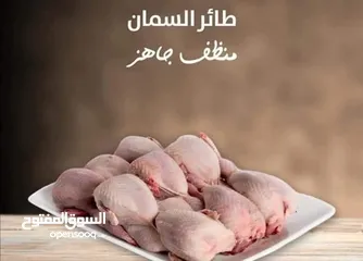  1 بيض فري طازج يومي
