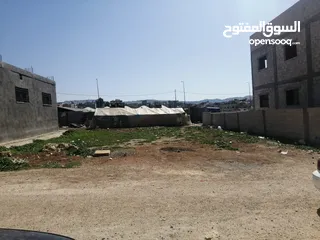  10 أرض للبيع في قرية أبو نصير او البدل