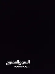  14 حساب بلوكس فروت للبيع  لفل 550  فواكه نادرة  فلوس 2,500,000  توزيع ممتاز  قابل للتفاوض