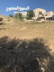  3 قطعه ارض مميزه في صافوط اراضي شمال عمان