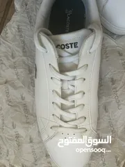  3 Lacoste Shoes - Size 43, Like New