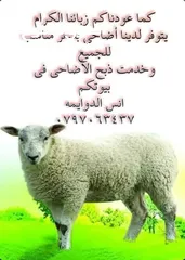  2 ذبح الأضاحي بالمنزل