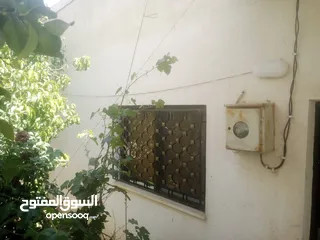  8 منزل مستقل جرش اسكان عجرمه  3غرف نوم 2حمام  صاله مع مطبخ امريكي  بلكونه  حديقه مساحه الارض 305