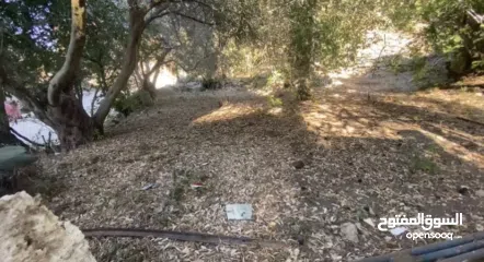  3 اشتري كاش... ومبروك مقدّمًا لصاحب النصيب سعر ببلاش - ارض 240 متر بموقع ممتاز