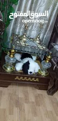  3 آثاث منزل وغرفة جلوس