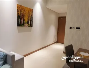  3 APARTMENT FOR RENT IN SEEF 1BHK FULLY FURNISHED