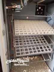  2 فقاسه  للبيع
