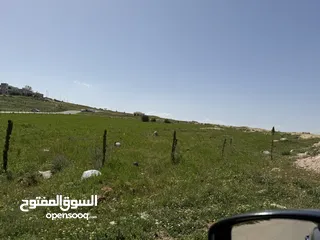  28 ارض للبيع قرمية حسبان 3100 متر لكامل القطعة قابل للأقساط