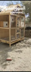  1 من اعمالنه للحدائق