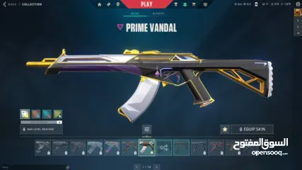  5 حساب فالو قوي للبيع رام الله الطيرة بسعر حرق