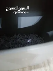  4 آلة تقطيع الأوراق التي تحتوي على الخصوصية