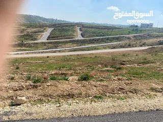  8 قطعة ارض للبيع ( منطقة فلل وقصور )واصل جميع الخدمات ( على قمة بيرين )
