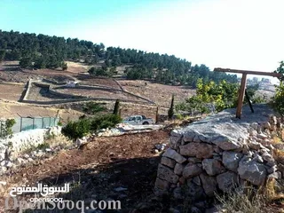  5 مزرعة في جرش للبيع من المالك مباشرة