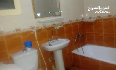 2 استقبال زوار مصر ومساعدتهم