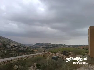  2 مزرعه 5 دونم للبيع مع بيت  وادي حادي المغاريب  المزرعه مشغوله مزروعه مسنسله على شارع رئيسي