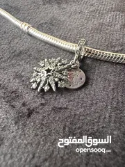  12 Pandora Charms Collection - Roza Accessories- كولكشن التشارمز من باندورا