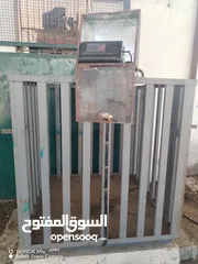  14 خرفان روماني