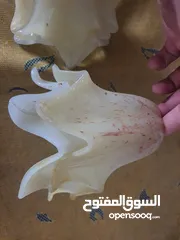  1 قطع للثريا بالحبه