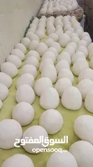  2 جميد كركي النخب الاول  من الكرك