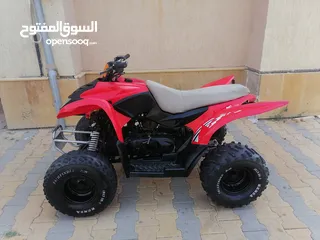  2 للبيع دباب تايواني مقاس 110cc الكوبرا