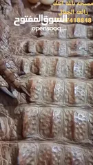  14 مسبحه باغه انتيك
