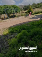  21 مزرعة وشاليه
