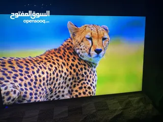  4 شاشه 55بوصه  Led 4K بحاله الوكاله  ولا برغي مفكوك منها  معها  ريموت وقاعده جداريه