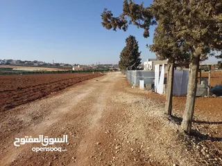  10 مادبا ماعين ارض زراعية مميزة عليها مزرعة زيتون جاهزة واصل جميع الخدمات مساحتها 4500 م
