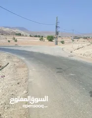  11 ارض للبيع اريحا _قطعة ارض