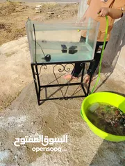  2 حوض سمك للبيع