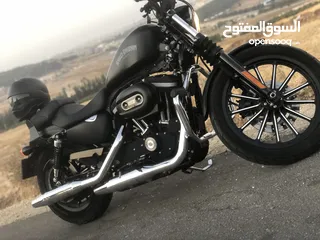  2 Harley Davidson iron883