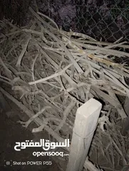  21 تشكيلة حطب للبيع