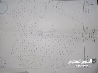  5 أرض على شارعين للبيع في جاوا نافع حي الاحسان الحنو الغربي من المالك مباشرة