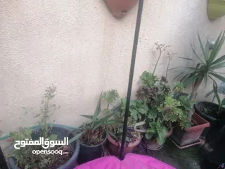  4 كوارات زرع بسعر مغري