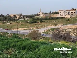  3 أرض مميزه جدا للبيع بشفا بدران بسعر ممتااااز
