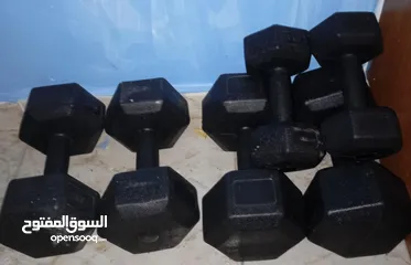  3 دامبلز كل الي بلصورة