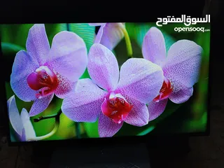  3 شاشه توشيبا 50 ال اي دي