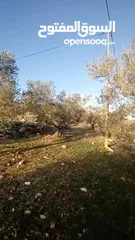  3 ارض للبيع بسعر مميز