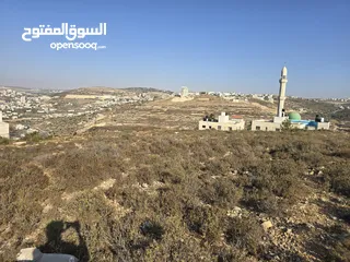  2 ارض مربعه الشكل اطلاله جميله تصلح لبناء فيله وللأساثمار