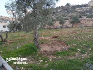  1 أرض للبيع بسعر مغري كثيييير