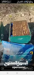  4 نحل ايطالي لوجستيكا مضغوط