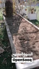  31 لتنظيف النخيل والواشنتونيا والاهتمام بالحدائق والثمار بكافه انواعها