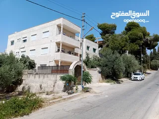  6 بنايه في منطقه الحمر من أراضي شمال عمان للبيع تتكون من ثلاث طوابق مقسمه الى 8شقق '