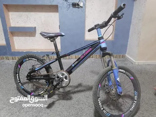  2 بسكليت امريكي