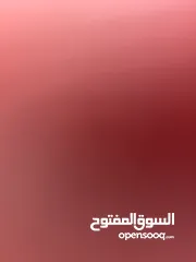  1 محلات للإيجار