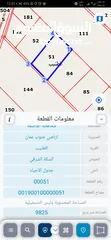  3 للبيع ارض 10 دونم في الطنيب مميزه بسعر مغري