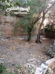  3 شقة فارغة للأيجار في جبل النظيف
