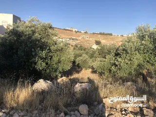  3 قطعة أرض مميزة في بدر الجديدة للبيع بسعر مغري تطل على المخابرات والمدينة الطبية دابوق